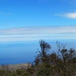 parque bosque Fray Jorge