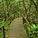 parque bosque Fray Jorge