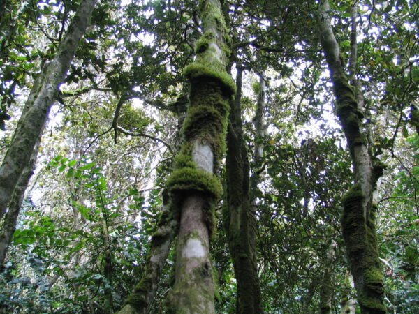 sendero los sentidos