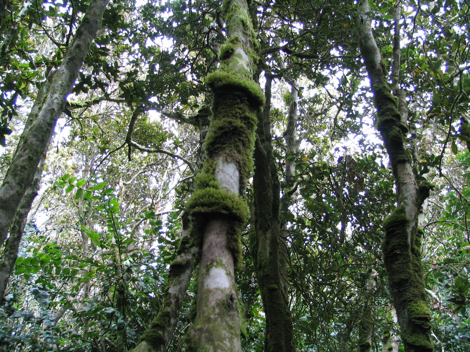 sendero los sentidos